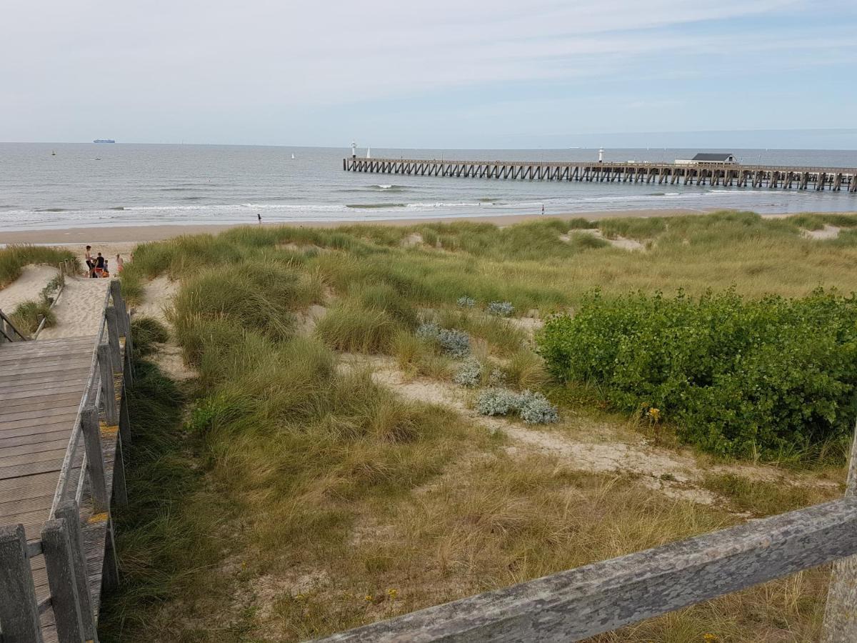 Seacottage Blankenberge - Wenduine 데한 외부 사진